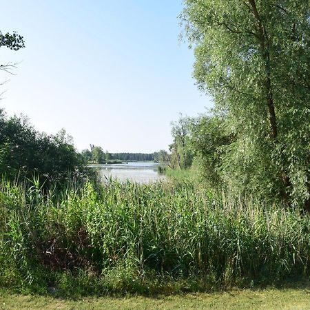 Land-gut-Hotel Seeblick Klietz Exterior foto